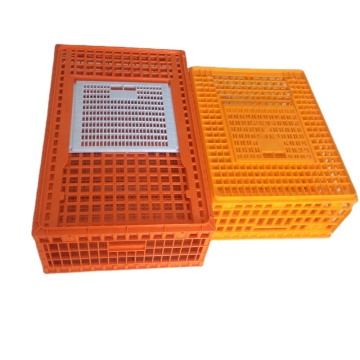 High Quality Plastic Transport Bird Cages for Live Chickens