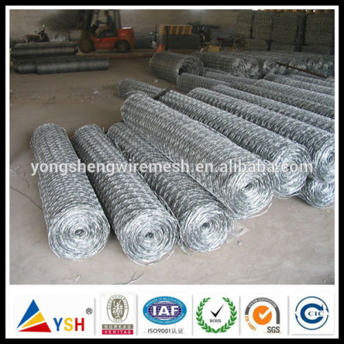 Low Price!Stainless Steel Hexagonal Wire Netting(Anping YSH Factory)
