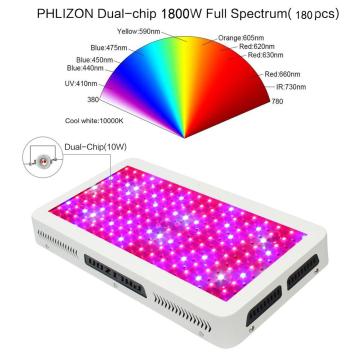 La grande capacità ha guidato la luce per la crescita delle piante