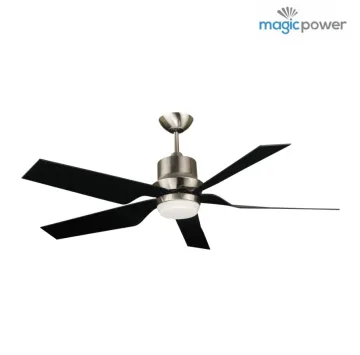 Modern style black ceiling fan