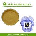 Extracto de Pansy Natural Viola Tricolor Extracto Polvo