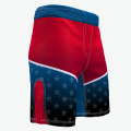 Martial arts boxing mma shorts BJJ combat shorts
