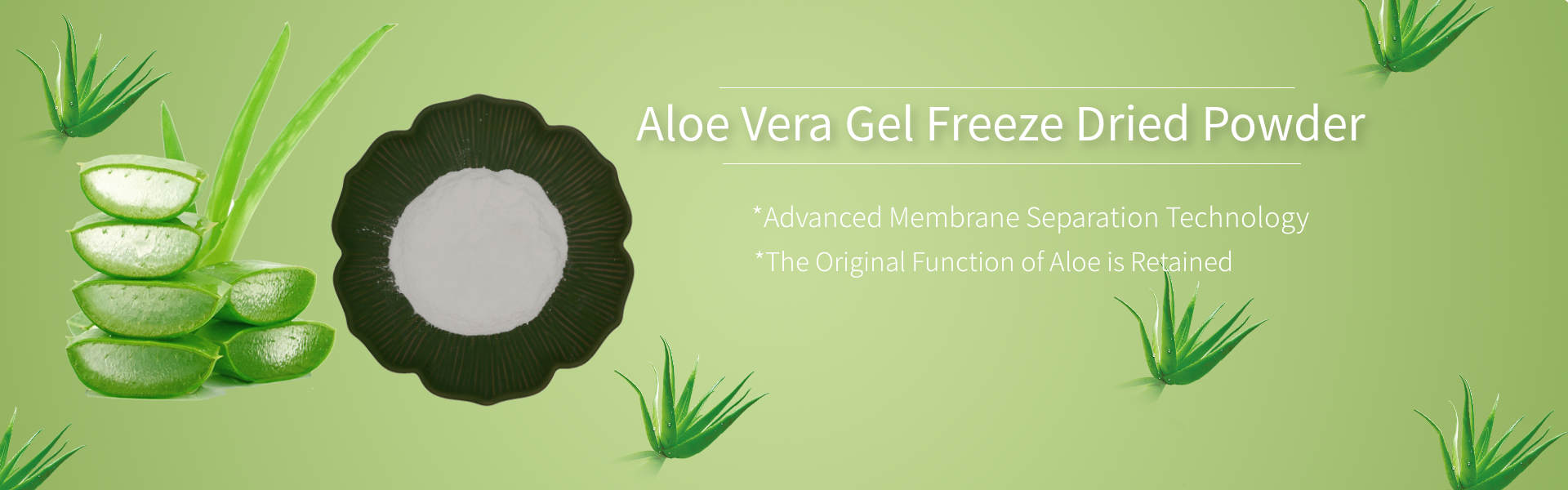 Aloe Vera Gel 1