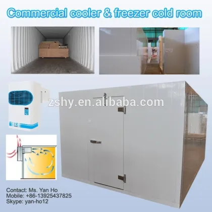 Commercial cooler & freezer cold room