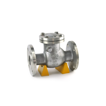 water treatment 10 wafer connection GGG40 body in-line disc type check valve 10