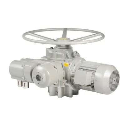 Auma Actuator