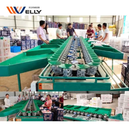Professional Pitaya Dragon Fruit Sorting Machine & Durian Grading Equipment for Fruits and Seafood