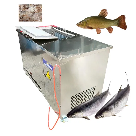 Automatic Fish Scale Remover Machine - Brush Type Fish Processing Equipment