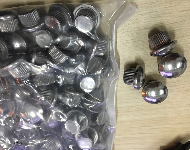 Stainless Steel Cap Plugs