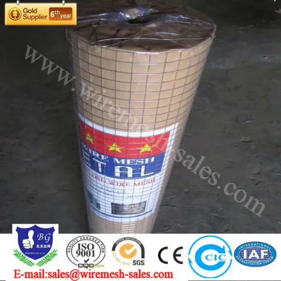 hot sale wire mesh 1/8 anping professional factory