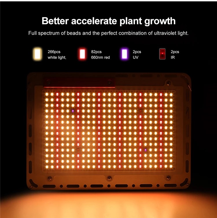 led light grow 
