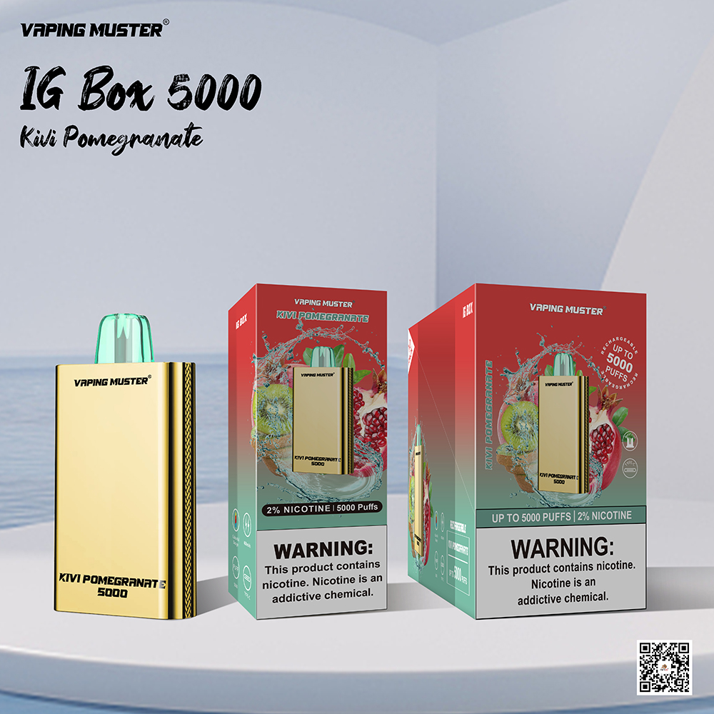 Electronic Cigarette 5000 Puff