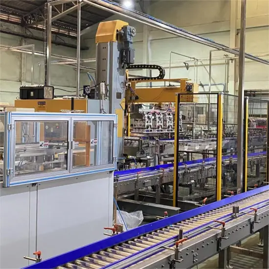 Automatic Single Column Carton Packer