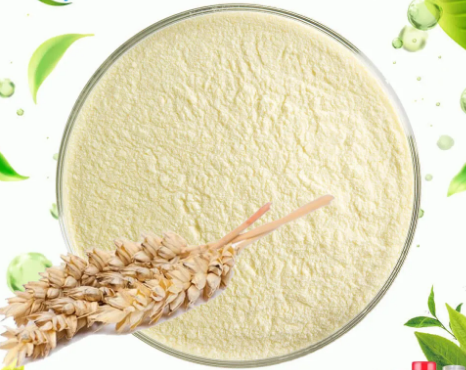 What is Oat Extract