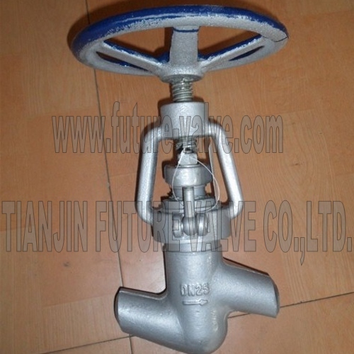 588-10-0 Dn25 Power Station Valve Manufacturer