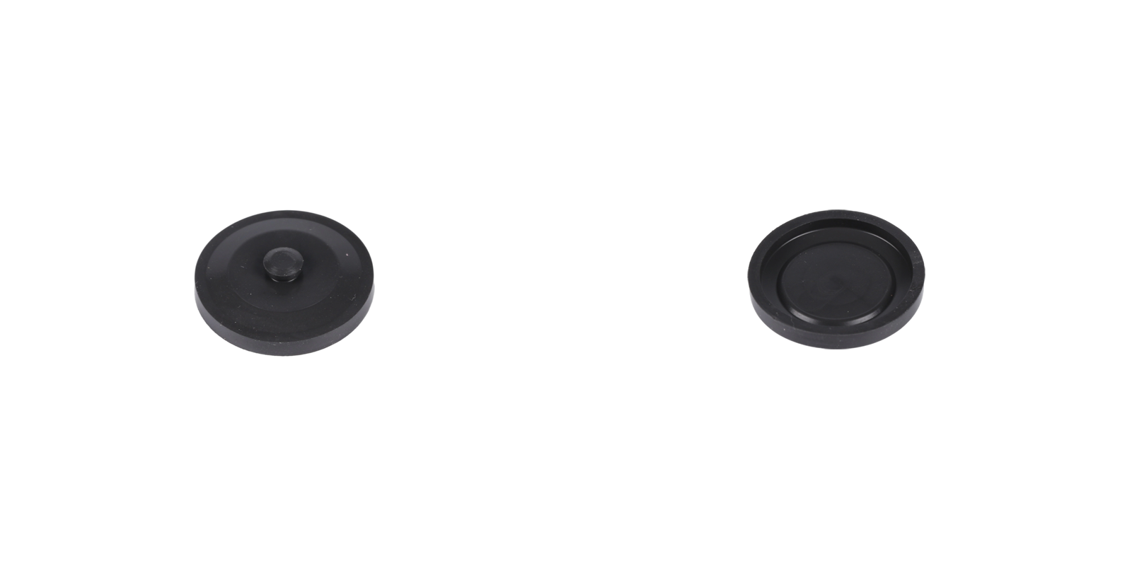 Electropump Diaphragm