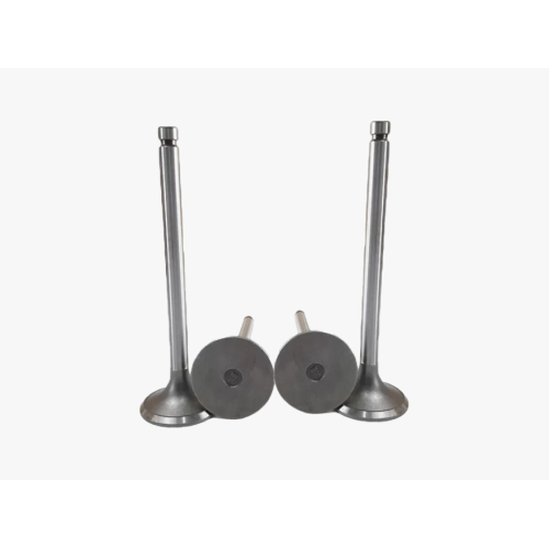 Compatible with Kubota D902, V2203 Engines