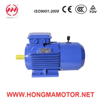 Three Phase Self-Braking Electric Motor