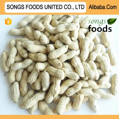Export Best Peanut ,Songs Foods Peanut
