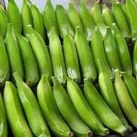 3T/H Stainless Steel Plantain Milling Machine - Plantain Banana Processing Equipment