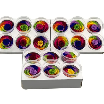 Beautiful Rose Flowers Stabilized Eternal Forever Preserved Roses