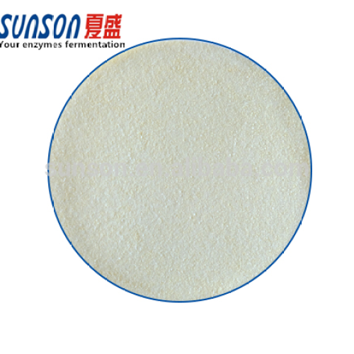 Food grade neutral protease enzyme for protein hydrolyzate