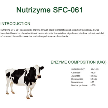 Thúc đẩy việc giải phóng các chất dinh dưỡng thức ăn enzyme