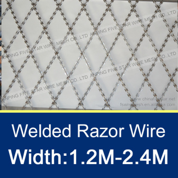 BTO-22/100MMx100MM Welded Razor Wire Fence