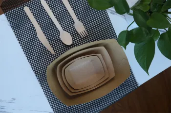 Natural Kraft Cardboard Tray