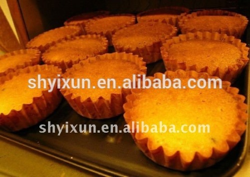 YX cupcake forming machine line of China