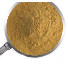 bean extract powder good price for weight loss