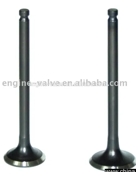 intake & exhaust valve for