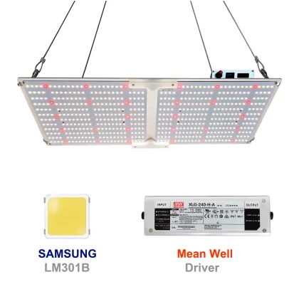 240W G2000 Full Spectrum LED Grow Light with Dimmer Knob