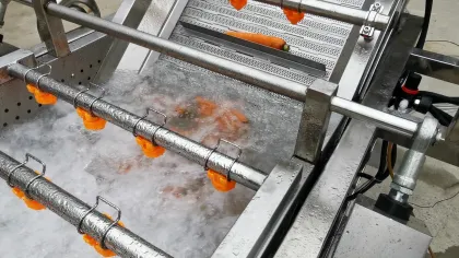 Multifunctional Bubble Vegetable and Fruit Cleaning Machine Industry