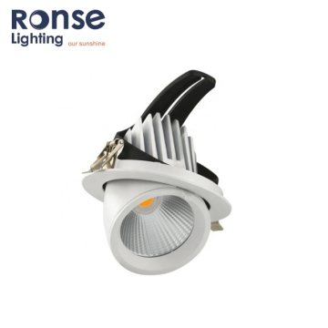 Ronse roteren LED -romplicht - verstelbare cob led spot down Light
