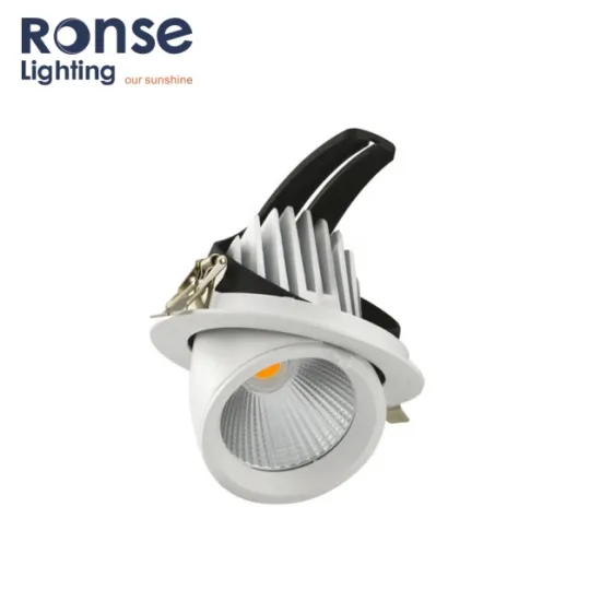 RONSE Rotate LED Trunk Light - Adjustable COB LED Spot Down Light