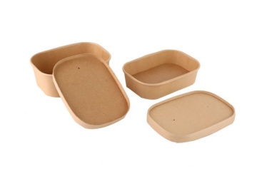 Square disposable paper bowl