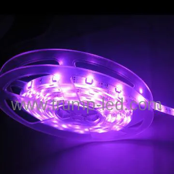 New Products Looking for Distributor