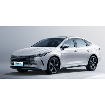 Byd Destroyer05 Glory Edition DM-I 120 км роскошь