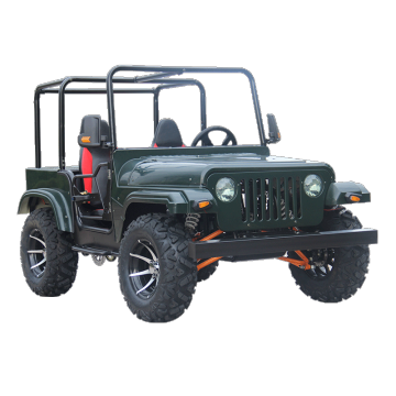 China Factory Direct 200cc Adult Engine Mini Jeep Gasoline Quad Dune Buggy Willys Jeep for Sale
