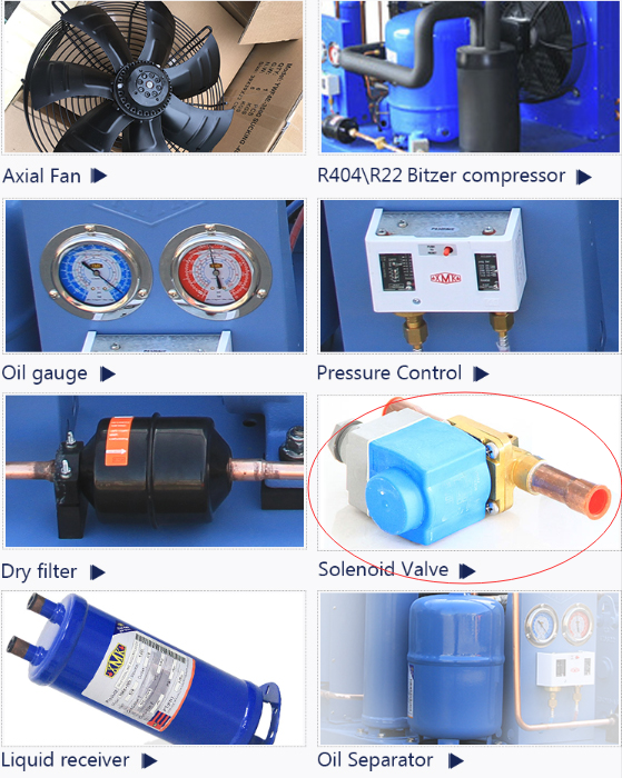 Refrigeration parts (EVR25 Refrigeration Solenoid Valve)