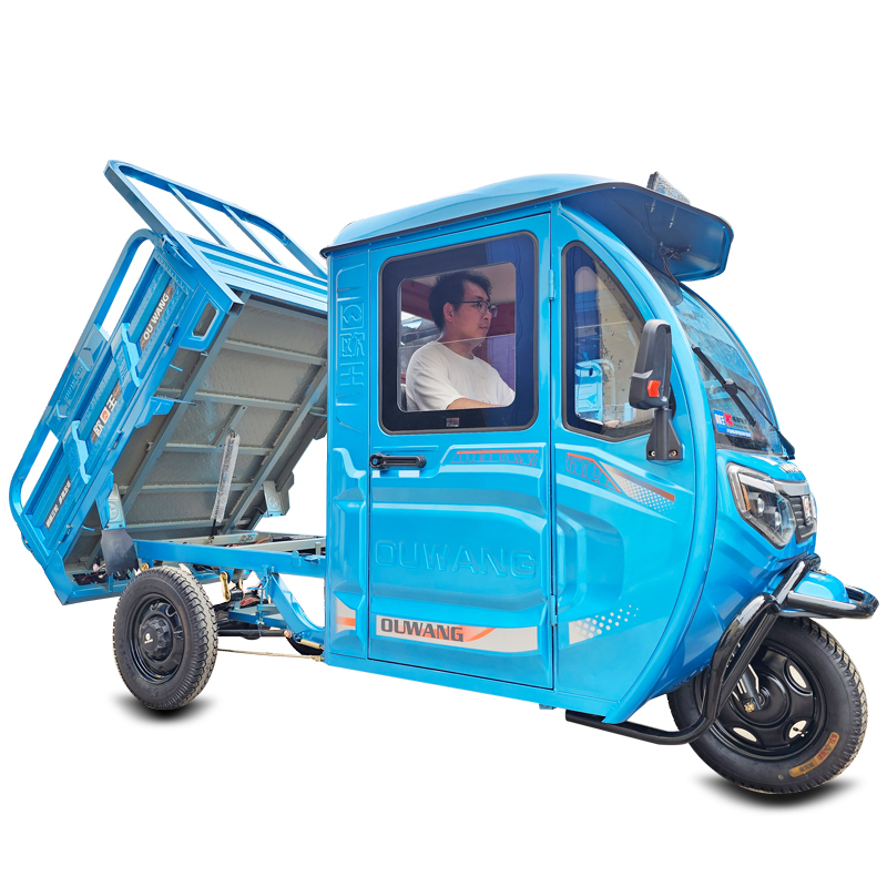 Electric Dump Tricycle: Affordable Enclosed Transport Trolley for Farm Use