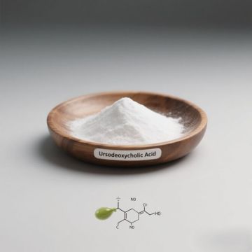 Premium Ursodeoxycholic Acid Powder for Pharmaceutical
