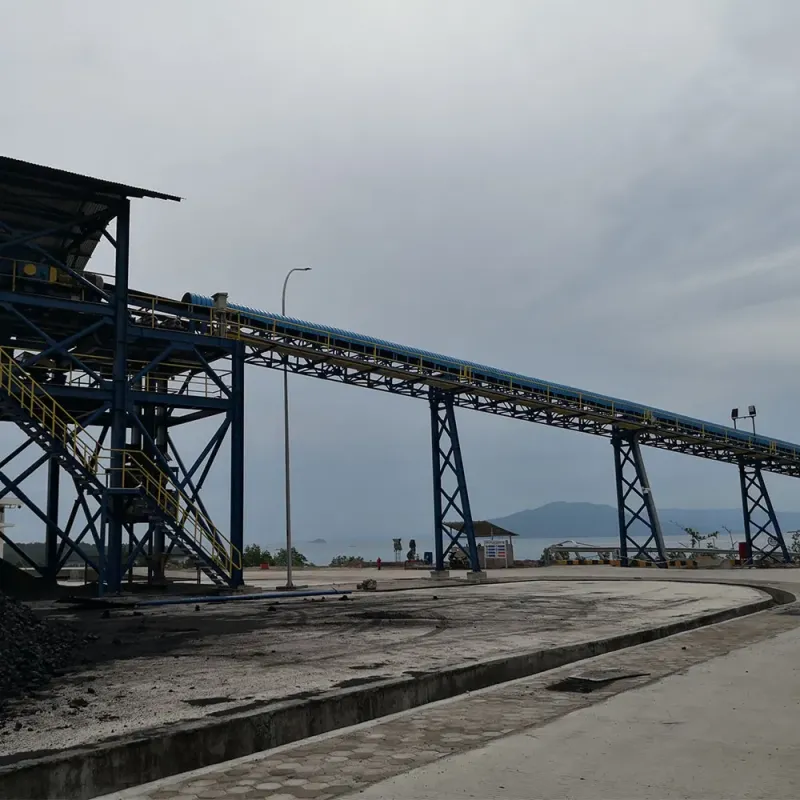 Customized Belt Conveyors for Power, Metallurgy, Chemical, and Mining Industries