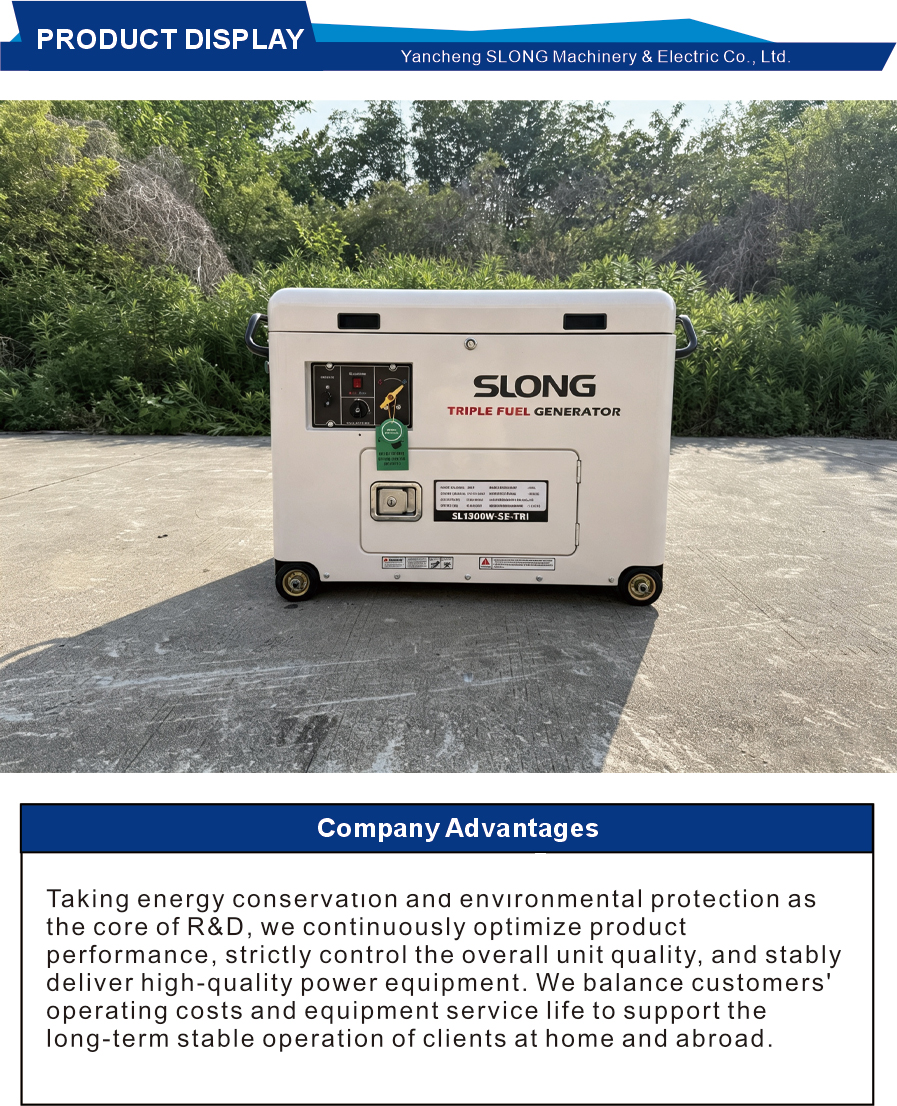 12kW Tri-Fuel Silent Standby Generator