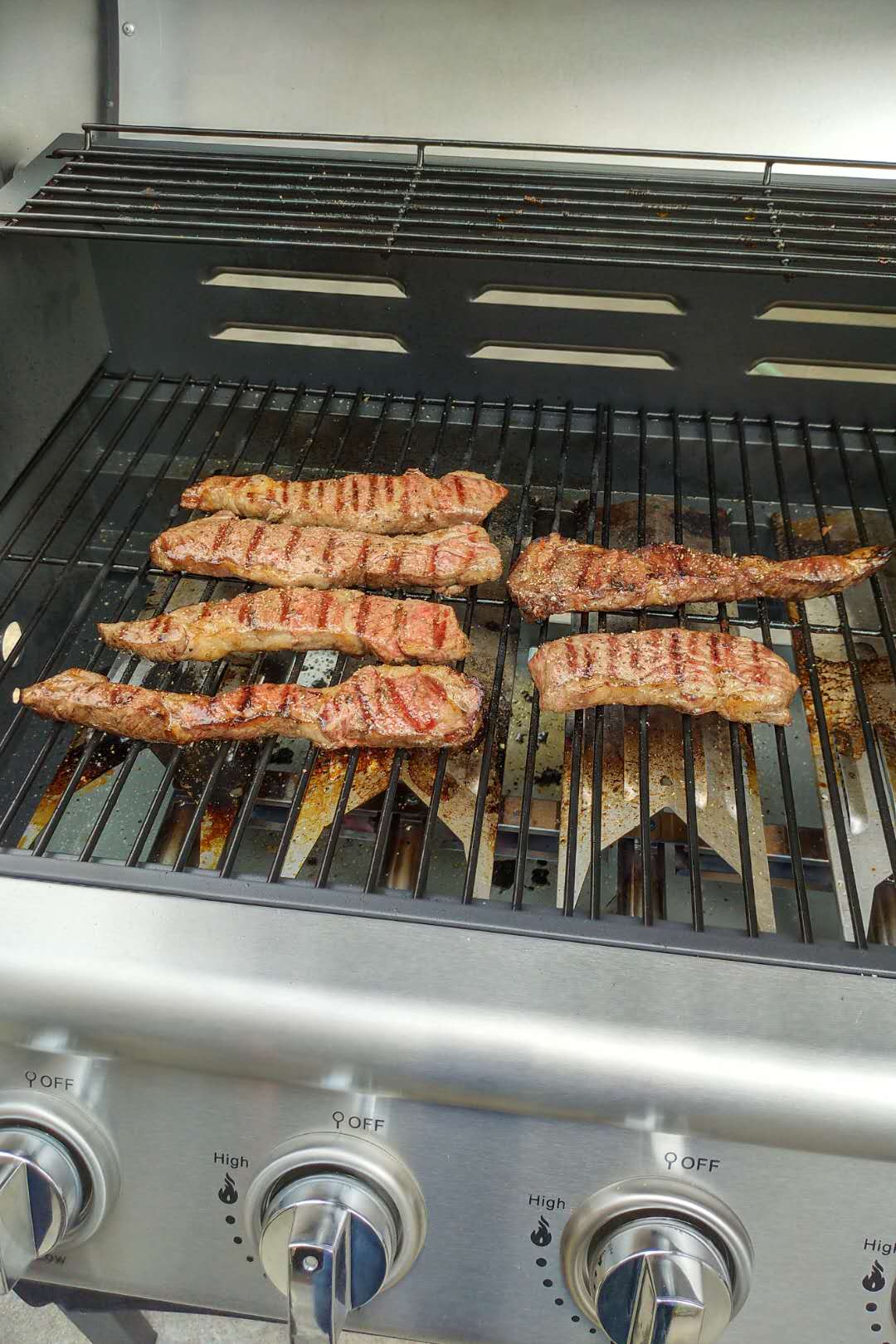 Garden Porpane 4 Burner Gas Grill