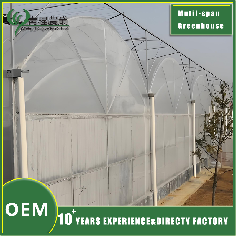 greenhouse with double layer design