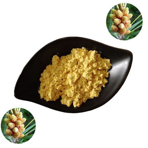 Health Care Grade Natural Cracked Cell Wall Pine Pollen Extract Powder Factory