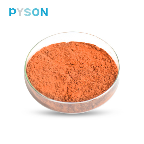 schisandra berry extract powder