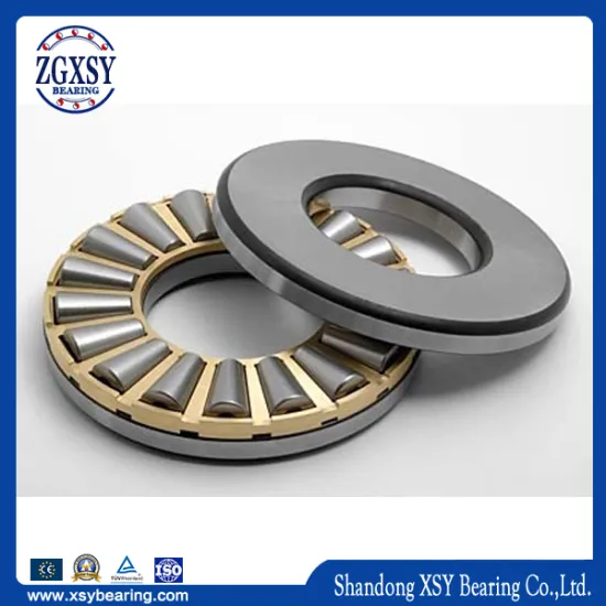 Zgxsy/SKF K81144m Cylindrical Roller Thrust Bearings
